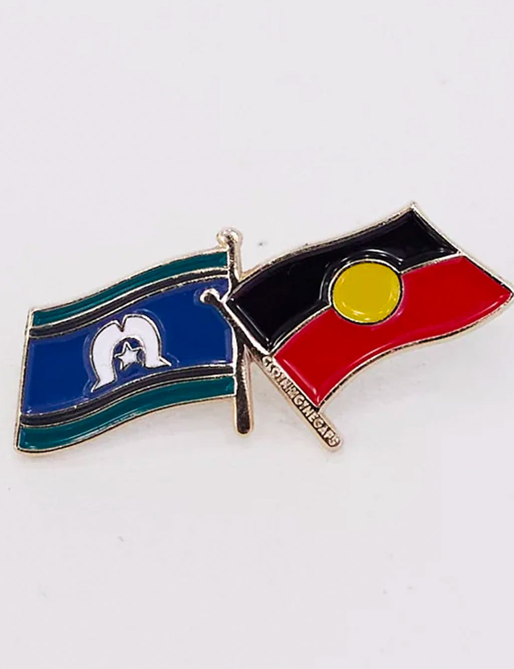FIRST NATION FLAGS PIN
