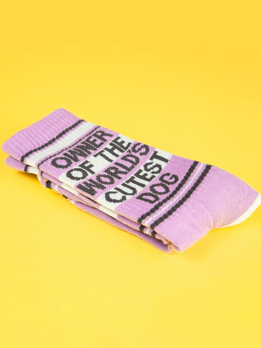 OWNER OF THE WORLD'S CUTEST DOG SOCKS