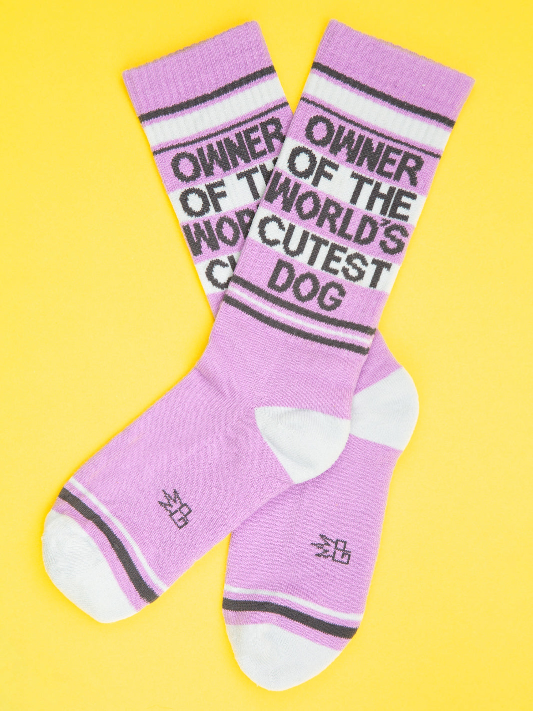 OWNER OF THE WORLD'S CUTEST DOG SOCKS