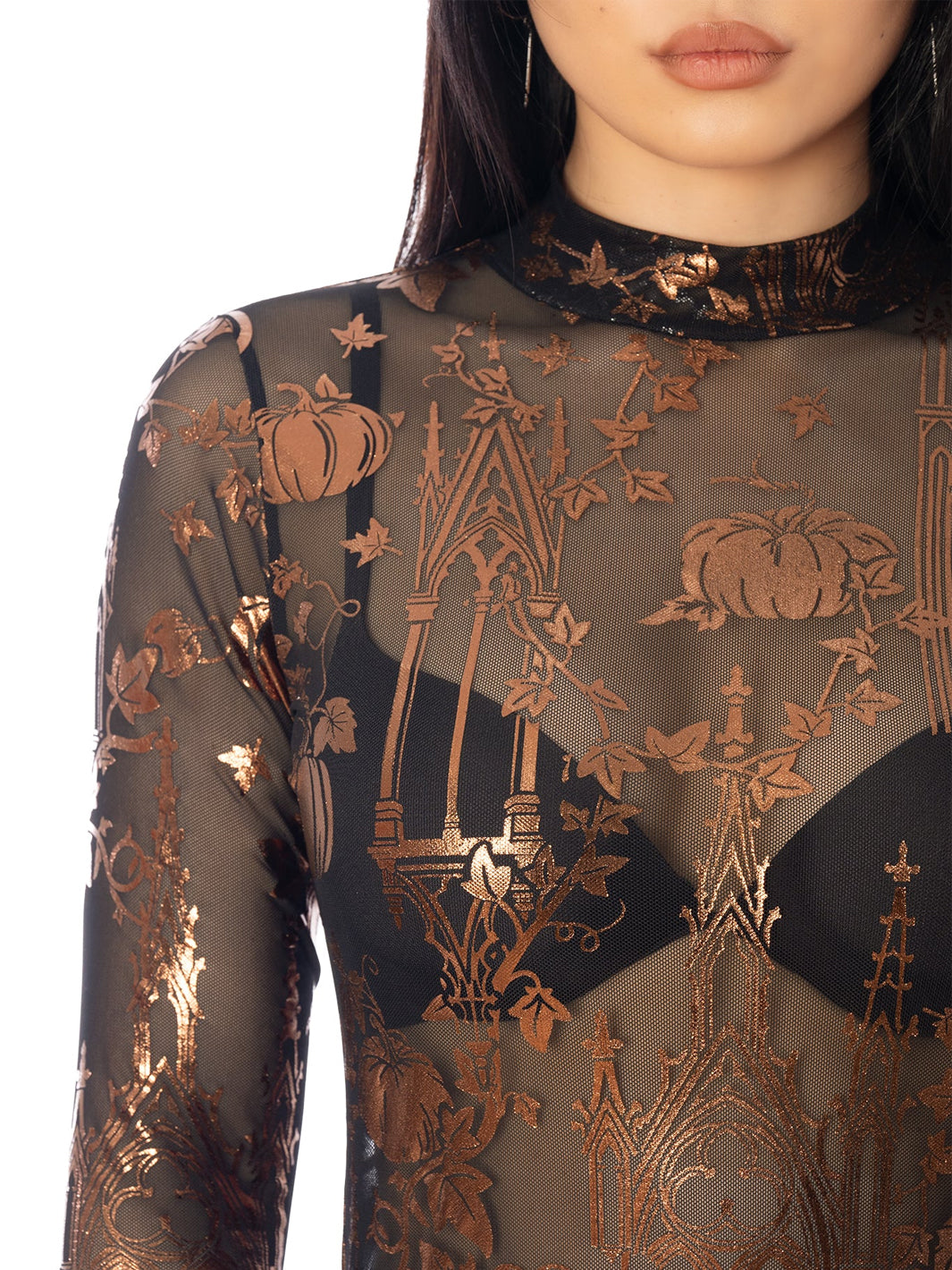 Gourd Gracious Sheer High Neck Long Sleeve Bodysuit