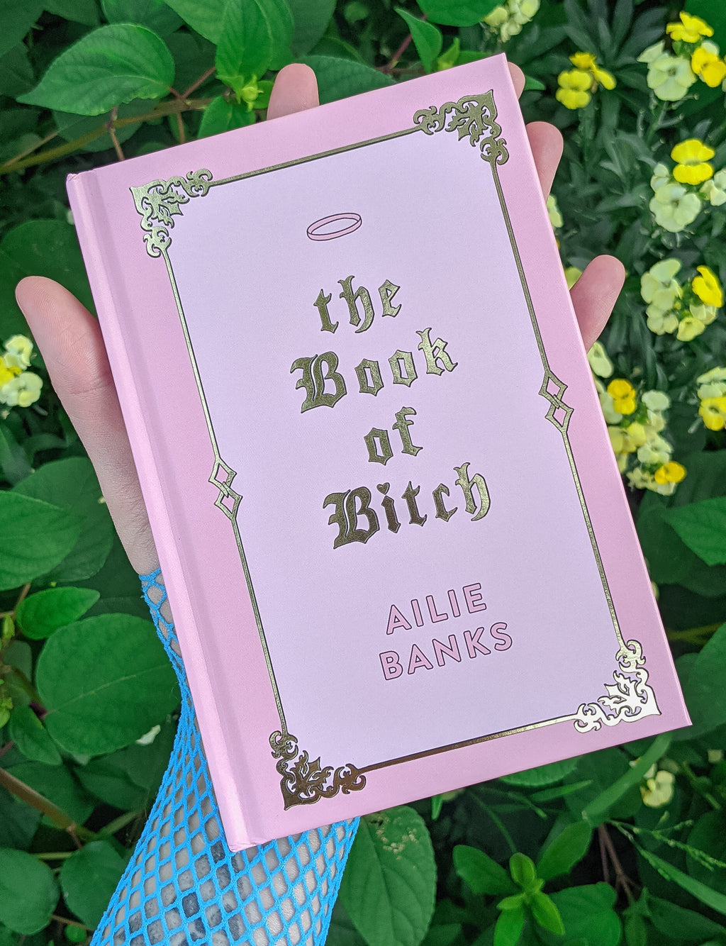 THE BOOK OF BITCH